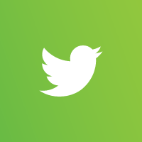 Twitter logo in white on a green background.